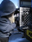 Rabbi Grossbaum checks the crates Rabbi Grossbaum checks the crates