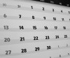 Articles from 5767 (2006-7)